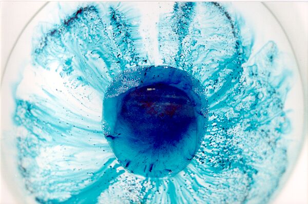 schválně ... co to je?